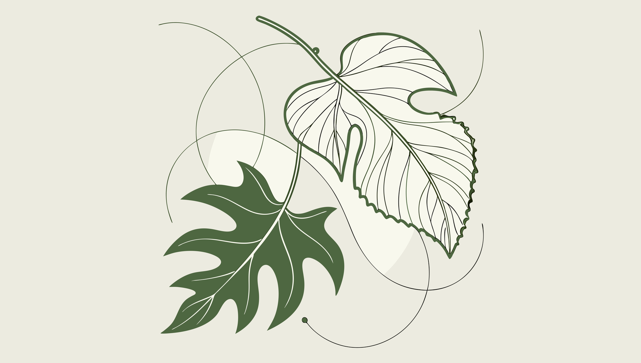 Abstract representation of clinic-based ABA therapy mergers and acquisitions, showing green and off-white forms merging to symbolize successful practice integration. SovDoc healthcare M&A advisory services for behavioral health practice transitions.