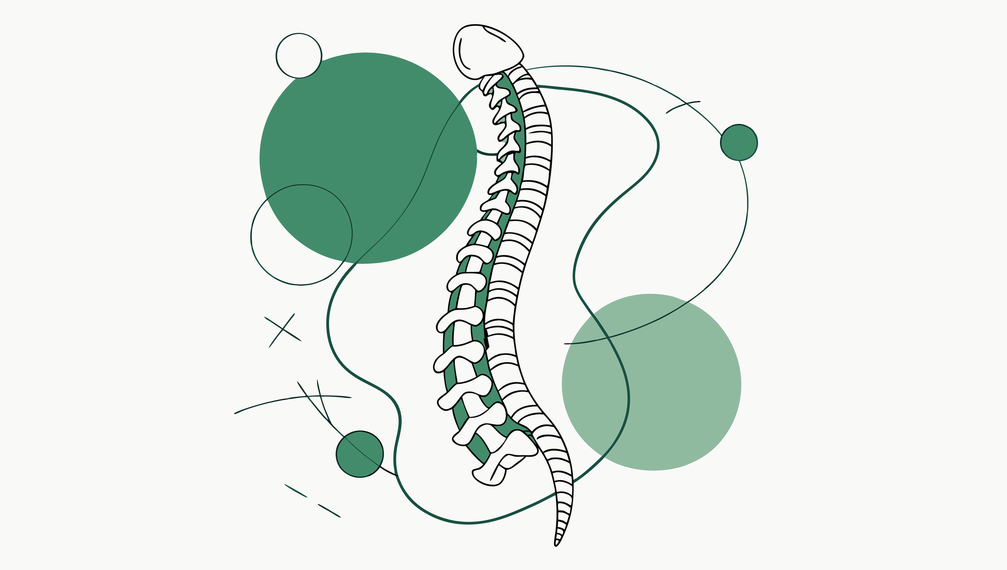 Minimalist illustration of a spine with interconnected green shapes representing orthopedic practice mergers and acquisitions. SovDoc healthcare M&A advisory for financial planning in orthopedic and rehabilitation practice consolidation.