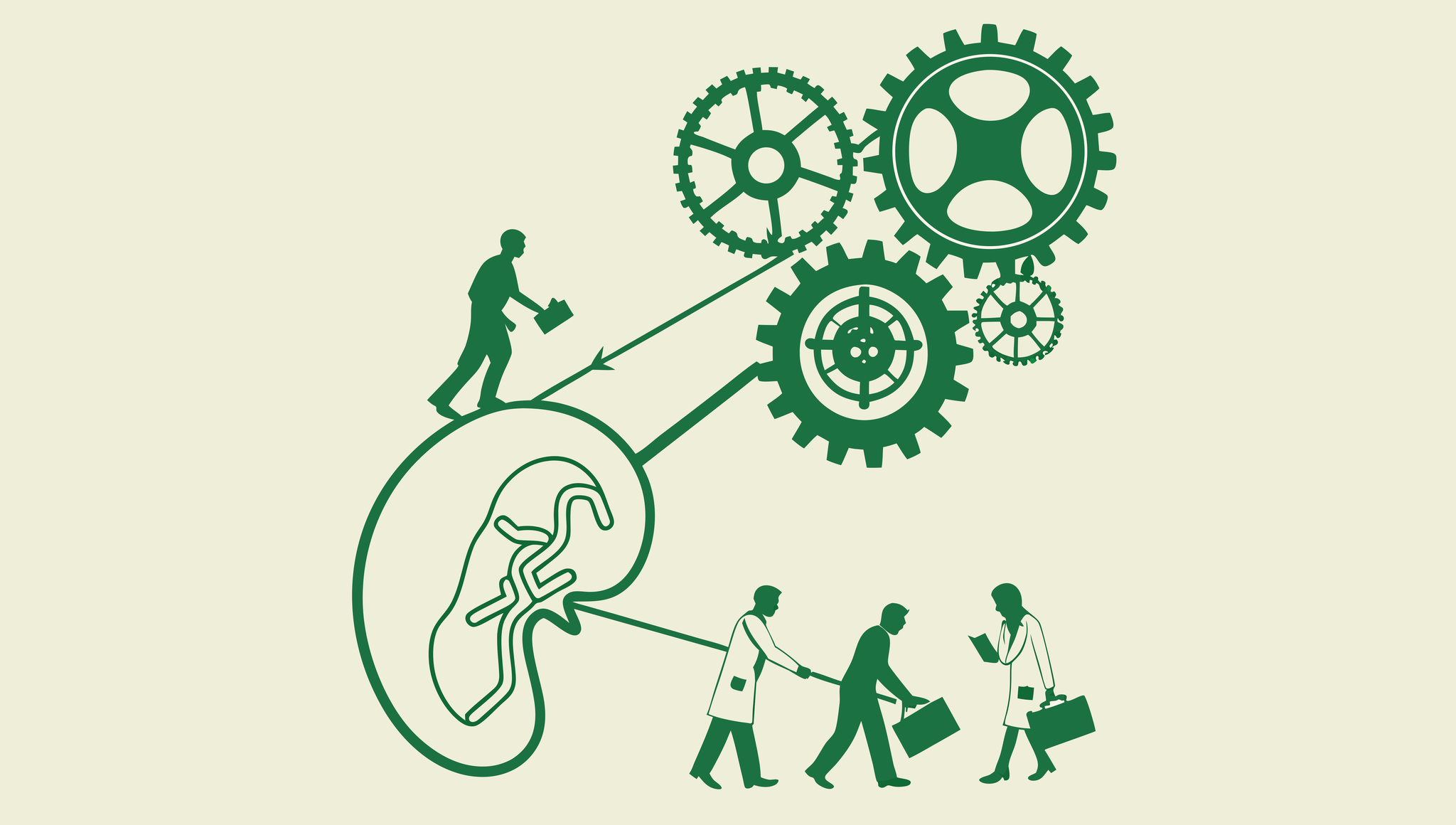 SovDoc M&A illustration showing nephrology practice valuation and integration - a stylized kidney being integrated into a broader business mechanism, symbolizing SovDoc's specialized approach to nephrology practice mergers and acquisitions with expert valuation consultants.